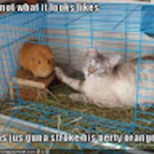 Meet your Posher, Christina